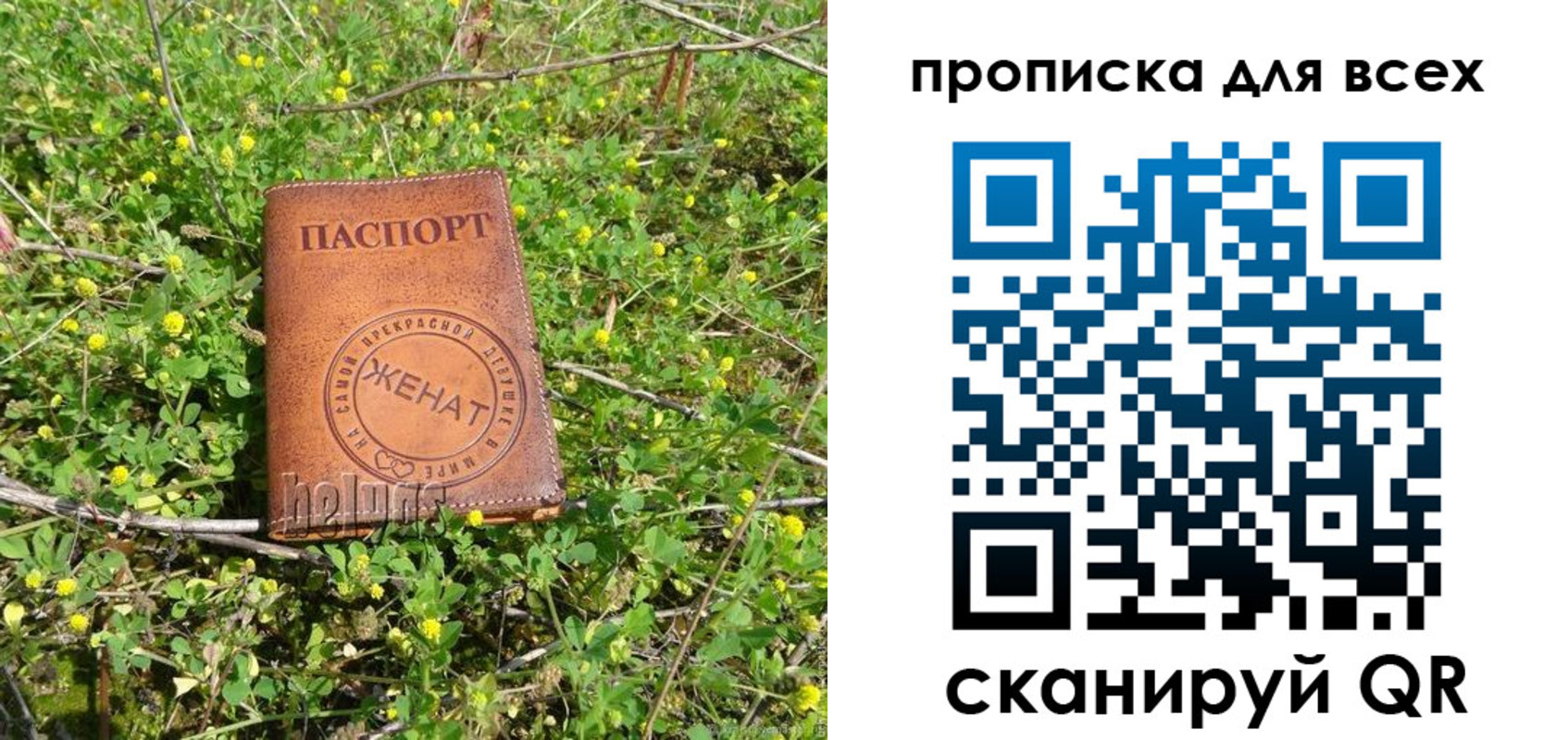 прописка поиск в Анадыре